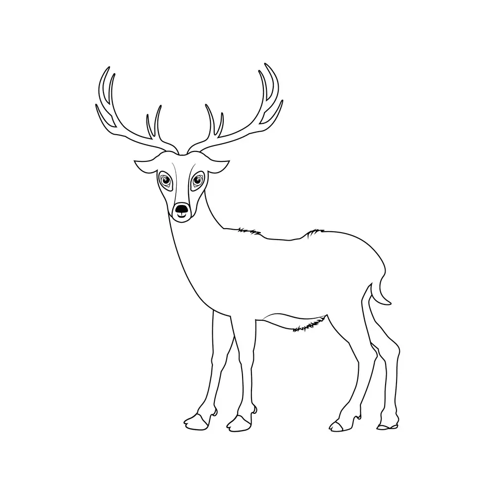 How to Draw A Deer Step by Step Step  8