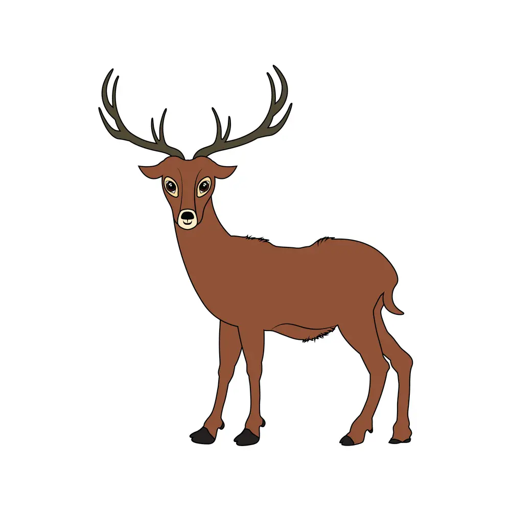 How to Draw A Deer Step by Step Step  9