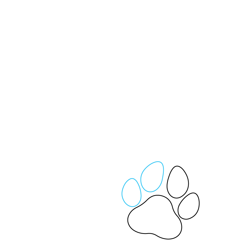 How to Draw A Dog Paw Step by Step Step  3