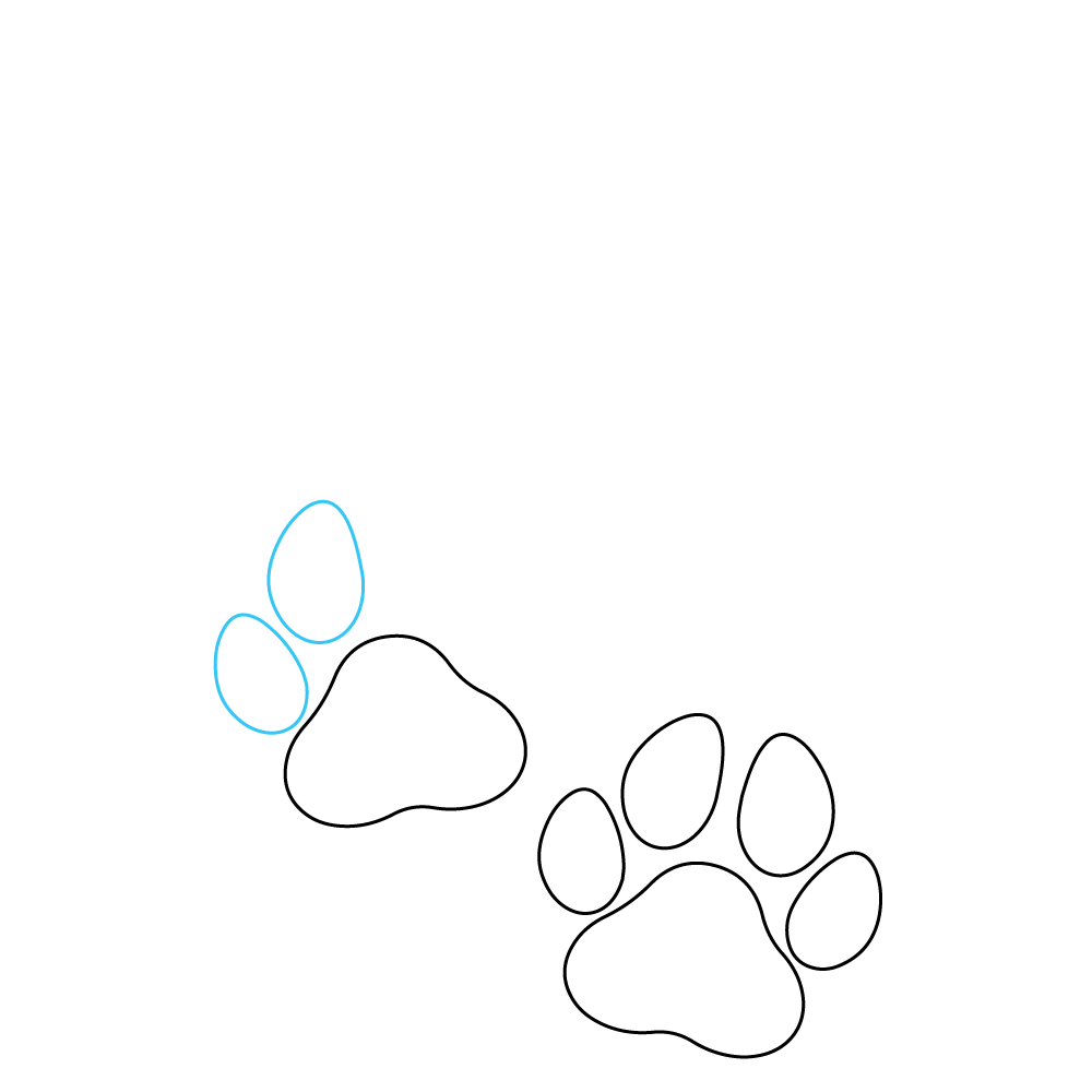 How to Draw A Dog Paw Step by Step Step  5