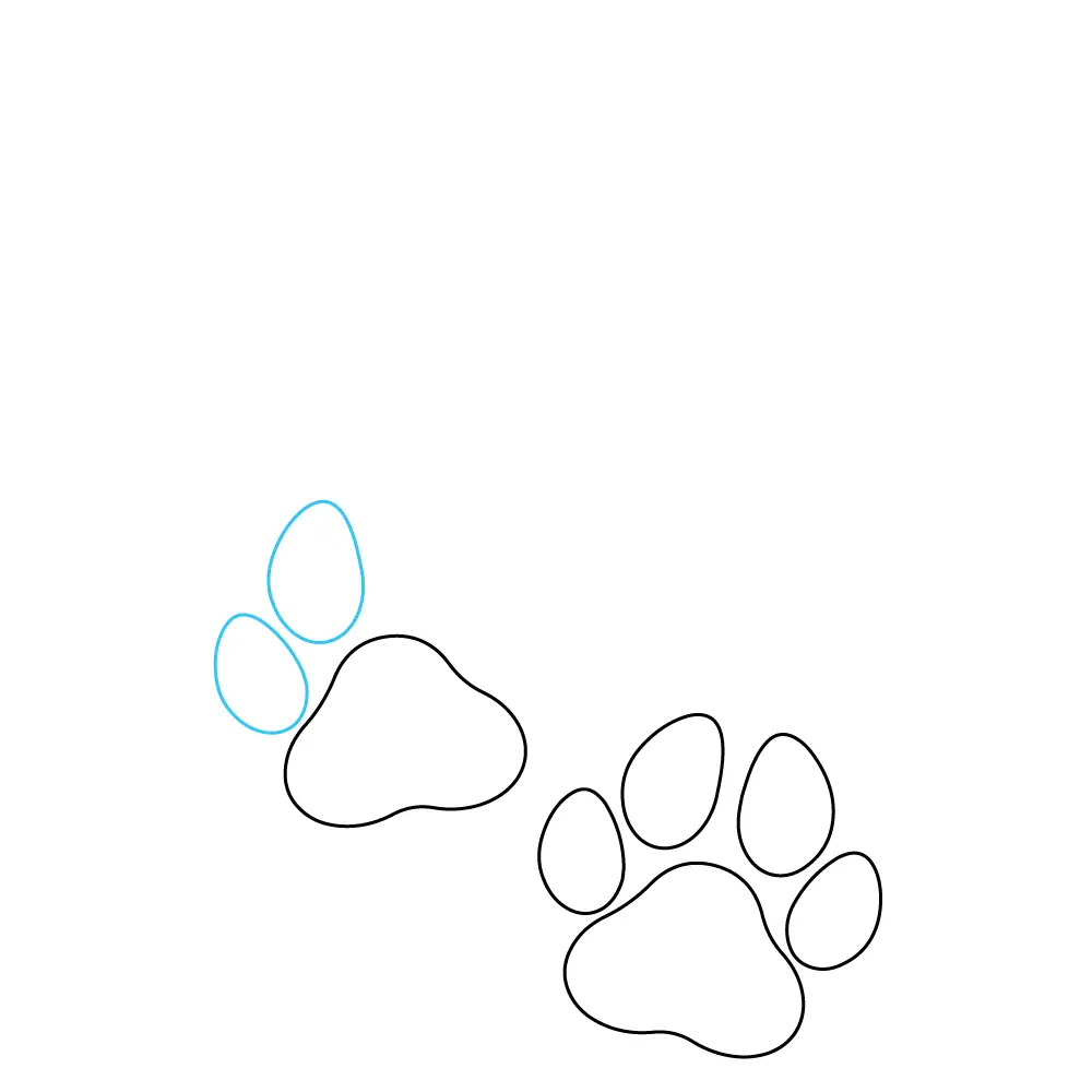 How to Draw A Dog Paw Step by Step Step  5