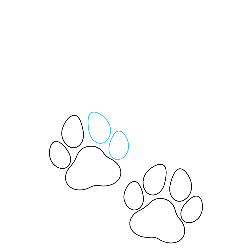 How to Draw A Dog Paw Step by Step Step  6