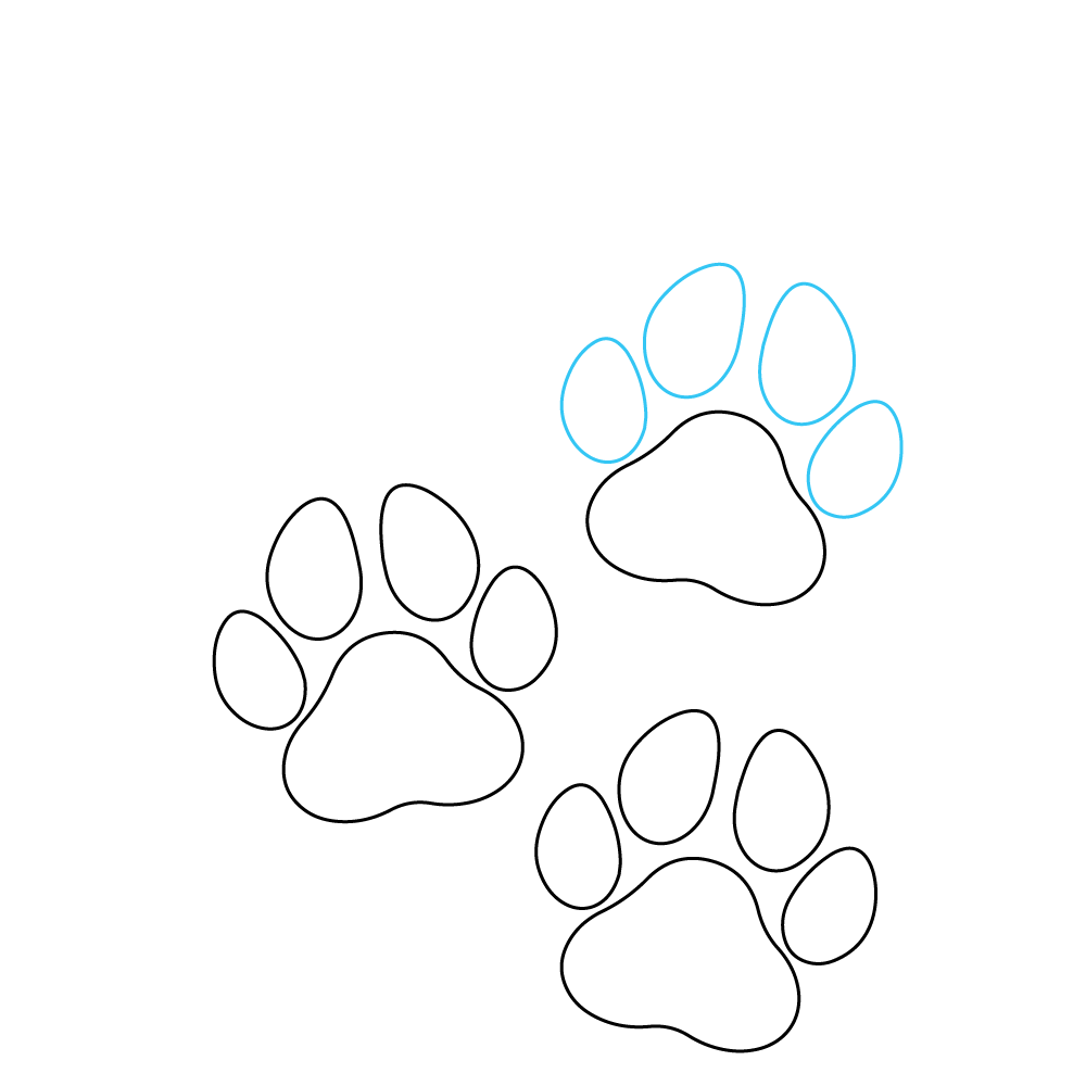 How to Draw A Dog Paw Step by Step Step  8