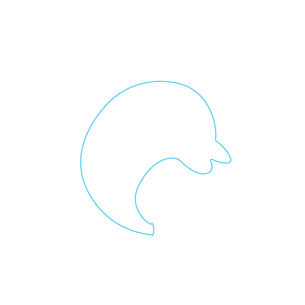 How to Draw A Dolphin Step by Step Step  1