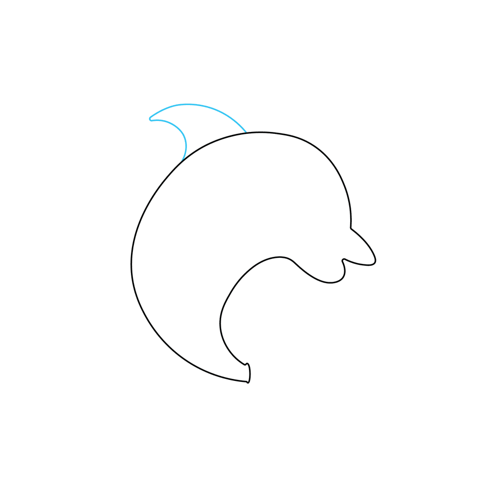 How to Draw A Dolphin Step by Step Step  2