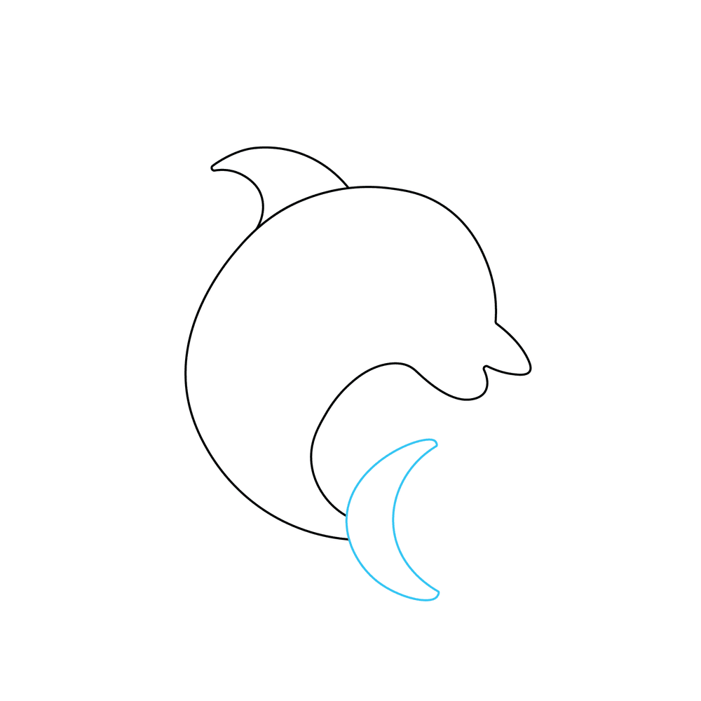 How to Draw A Dolphin Step by Step Step  3