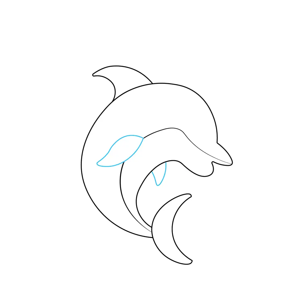 How to Draw A Dolphin Step by Step Step  5