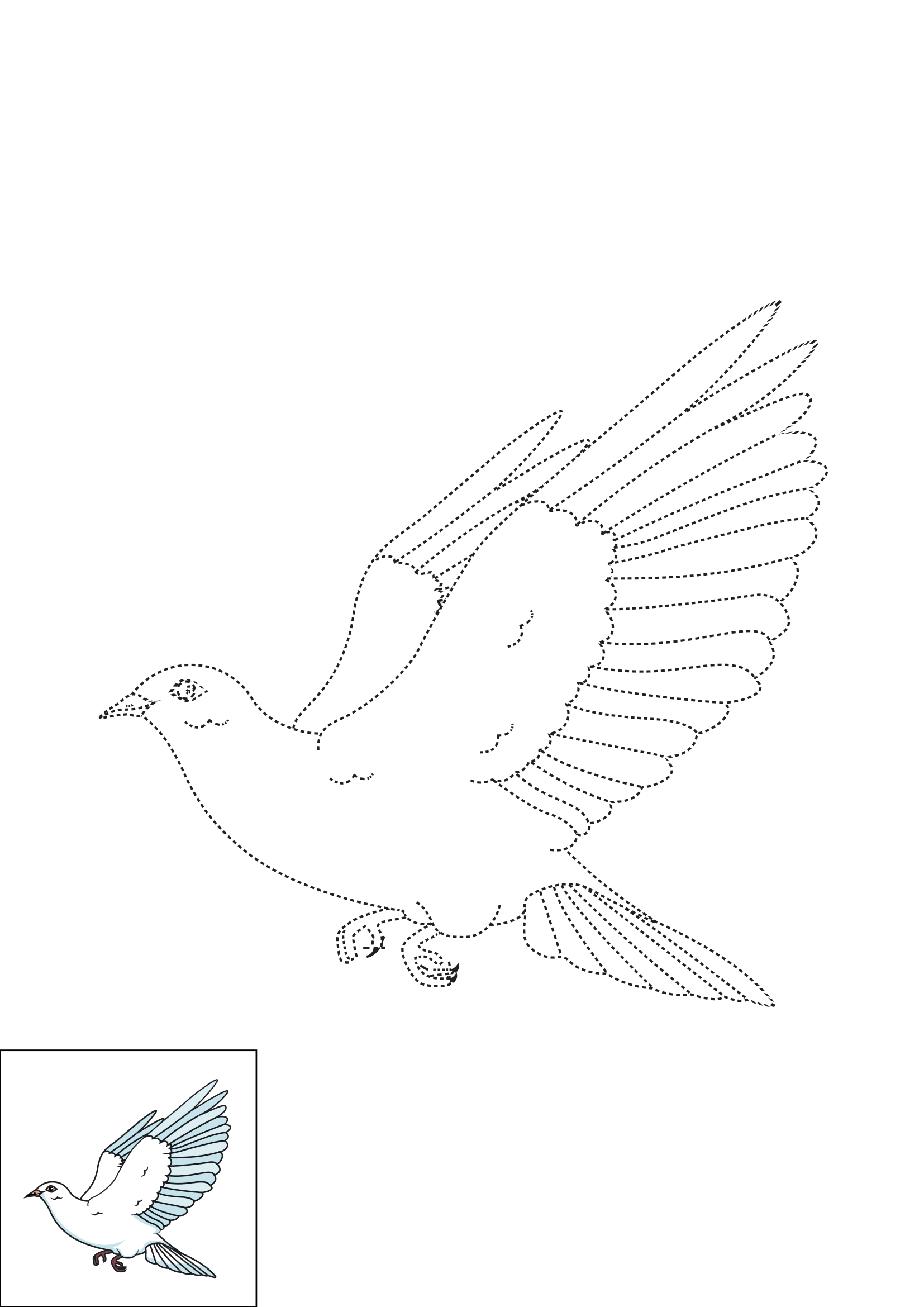 How to Draw A Dove Step by Step Printable Dotted