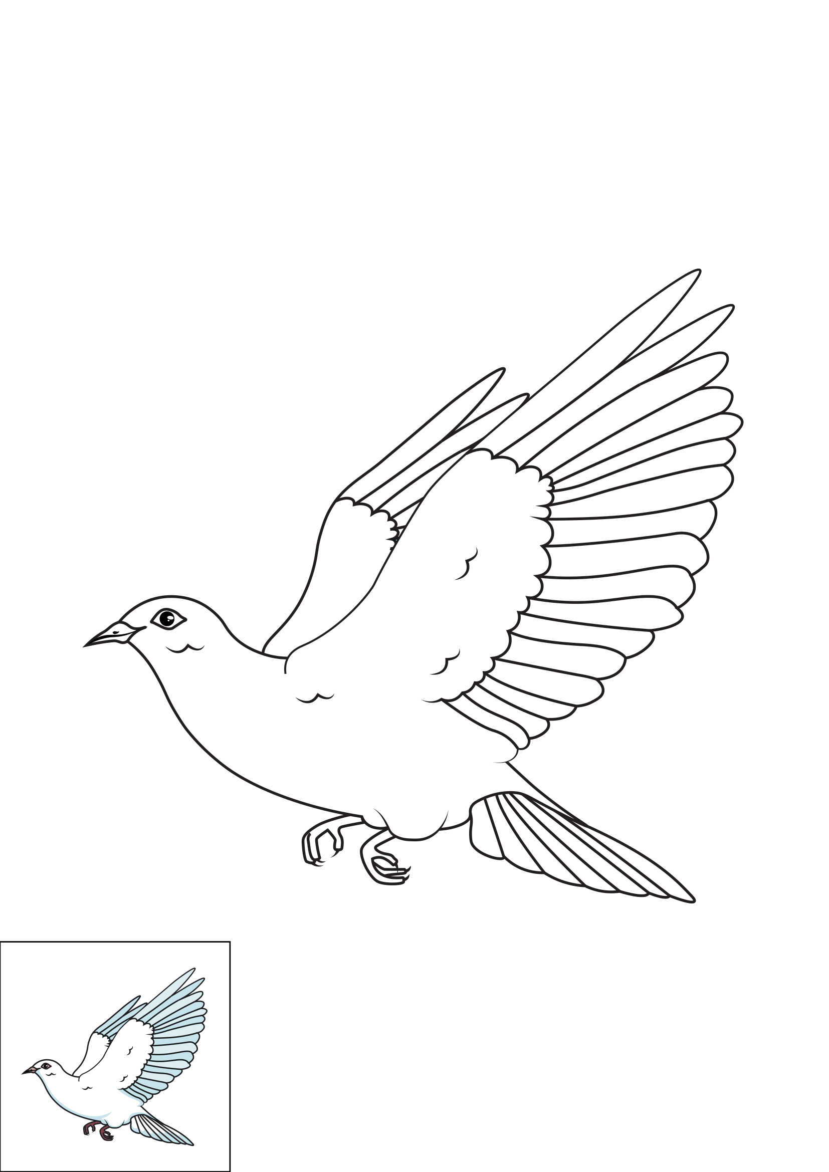 How to Draw A Dove Step by Step Printable Color