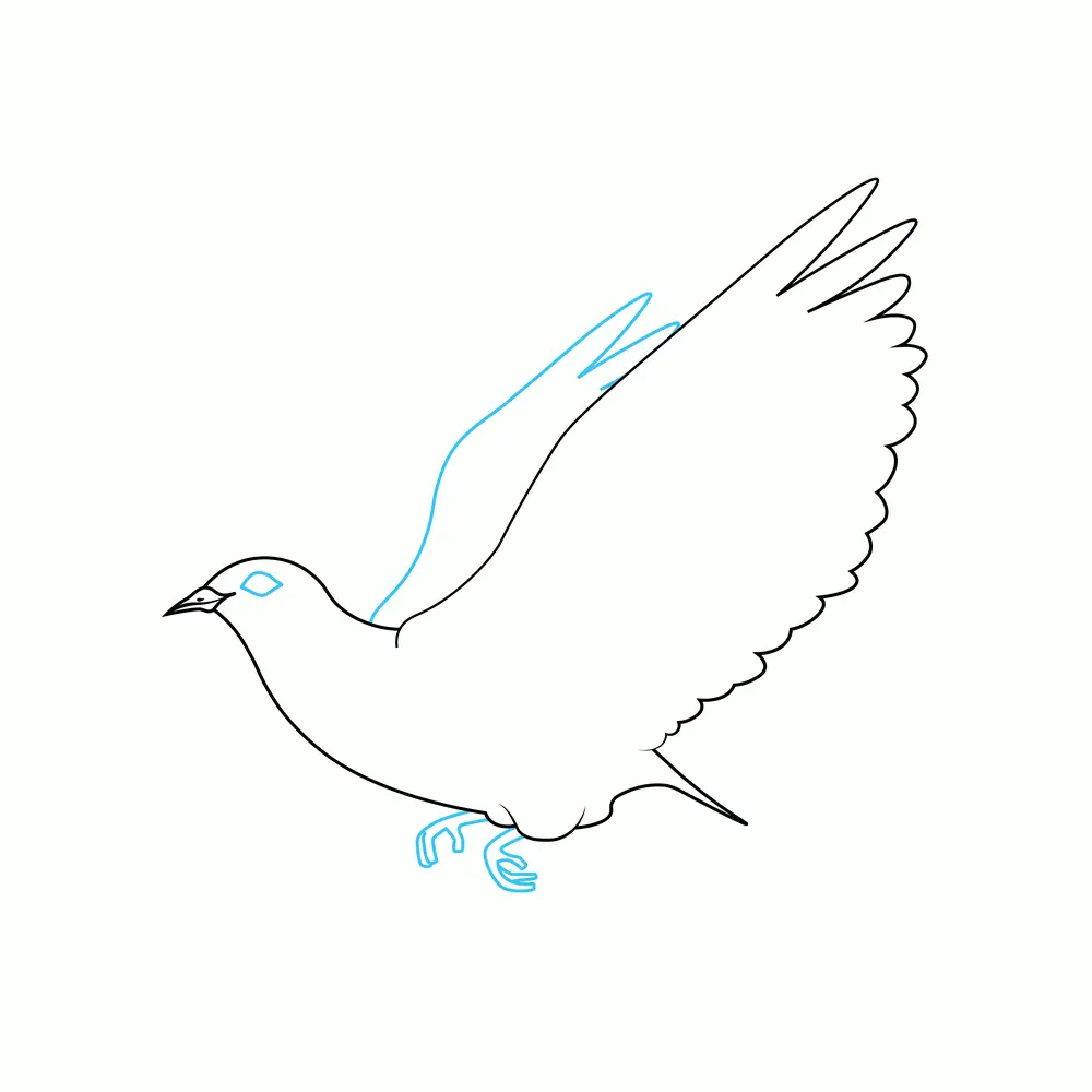 How to Draw A Dove Step by Step Step  4