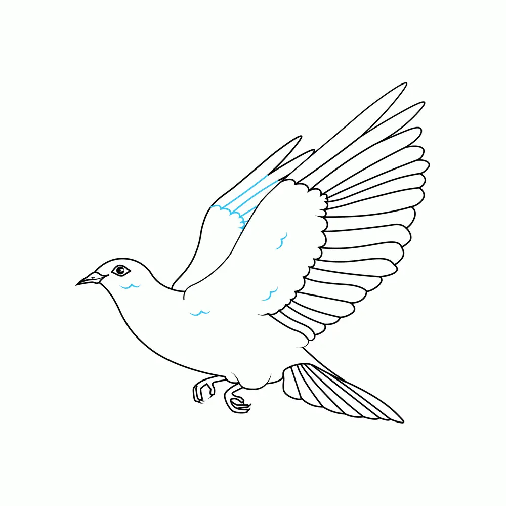 How to Draw A Dove Step by Step Step  7