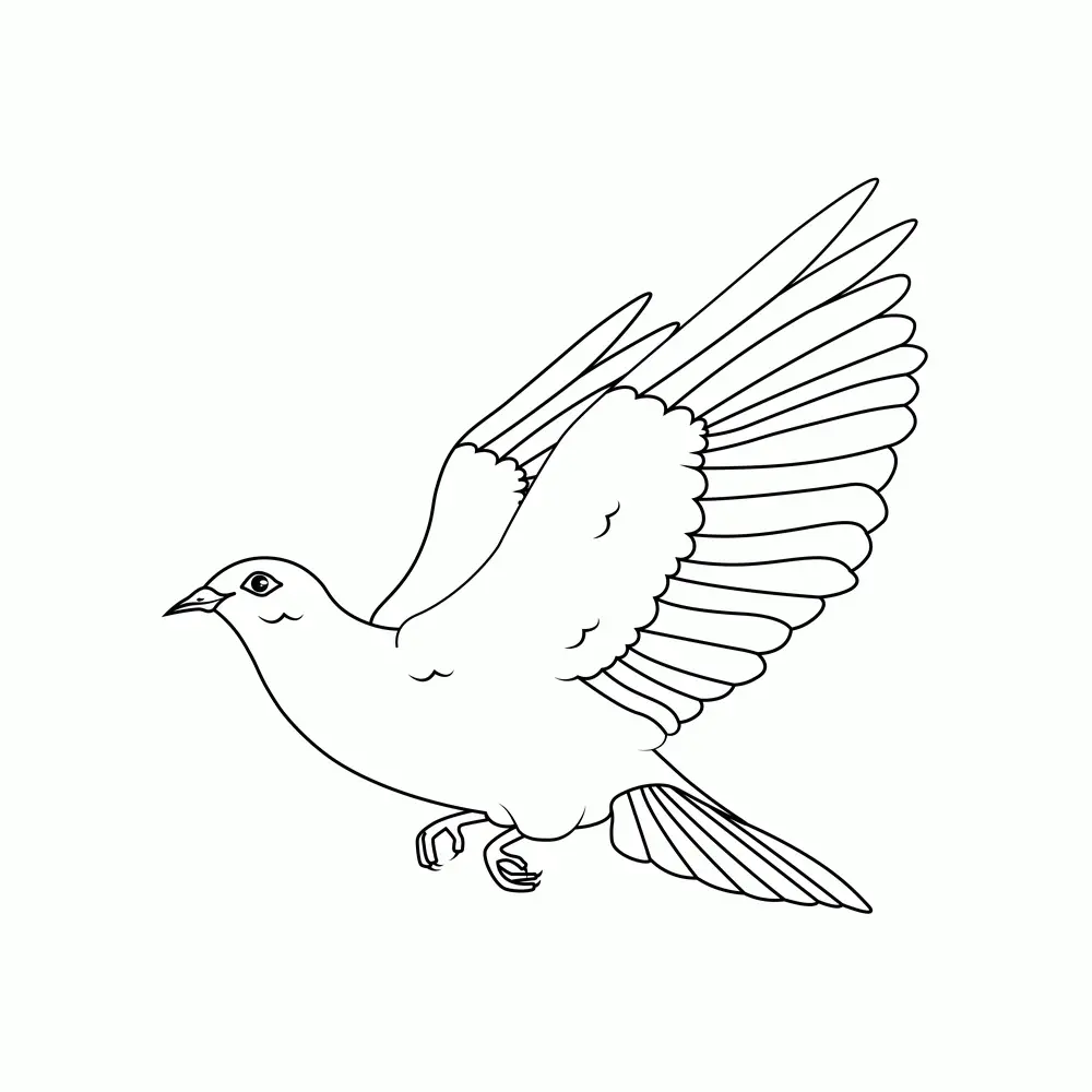 How to Draw A Dove Step by Step Step  8