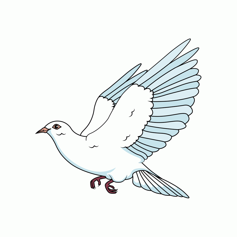 How to Draw A Dove Step by Step Step  9