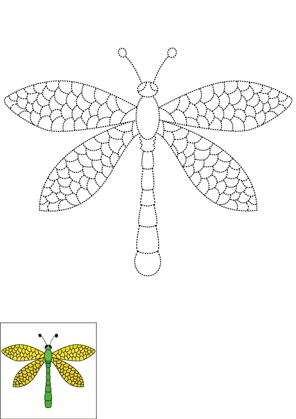 How to Draw A Dragonfly Step by Step Printable Dotted