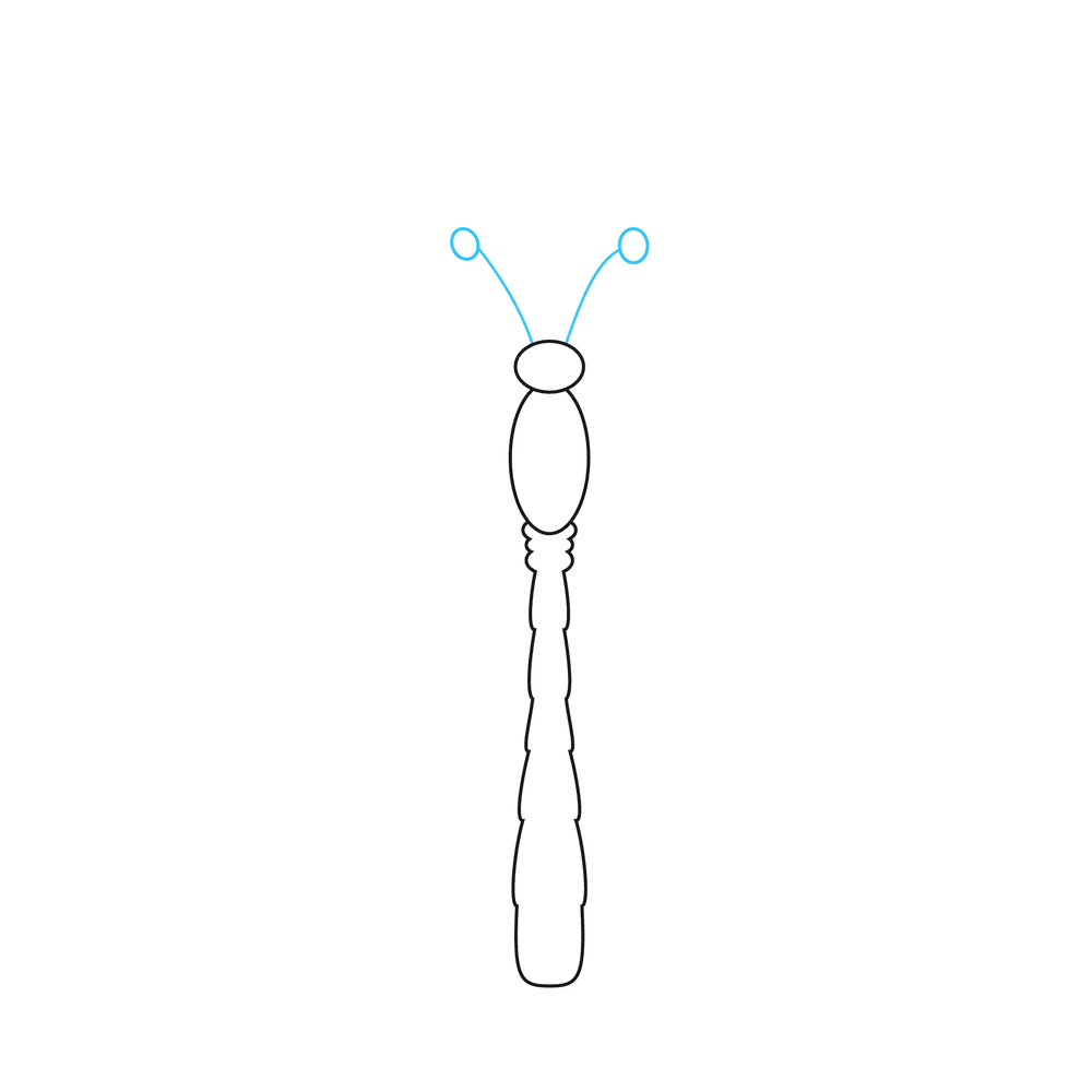 How to Draw A Dragonfly Step by Step Step  4