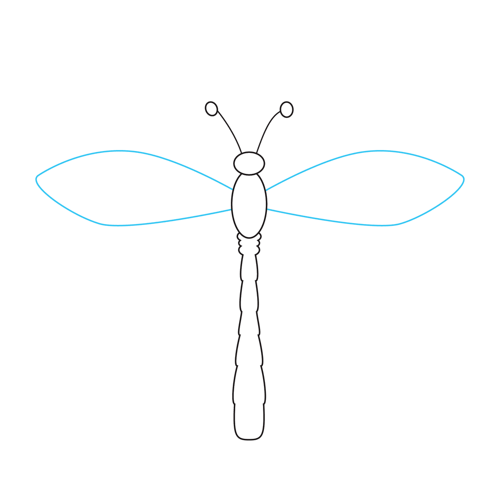 How to Draw A Dragonfly Step by Step Step  5