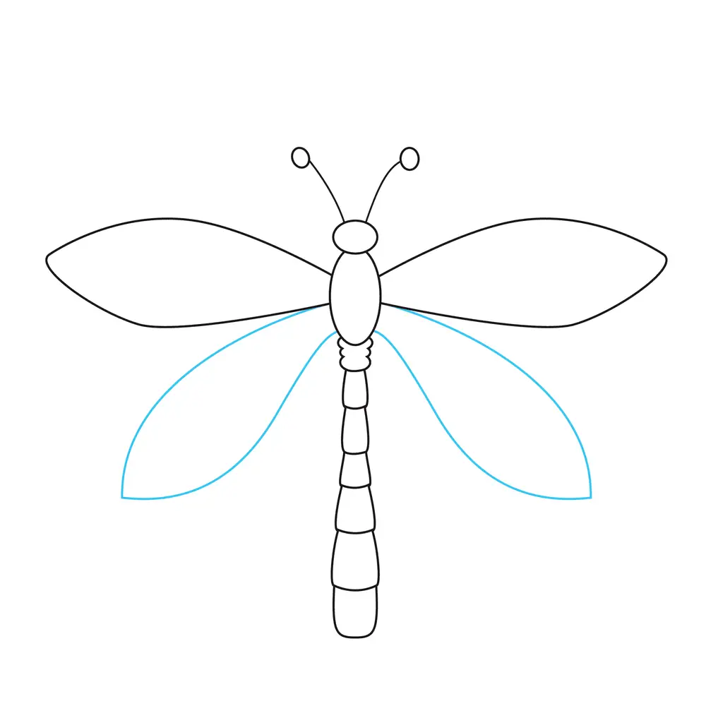 How to Draw A Dragonfly Step by Step Step  6