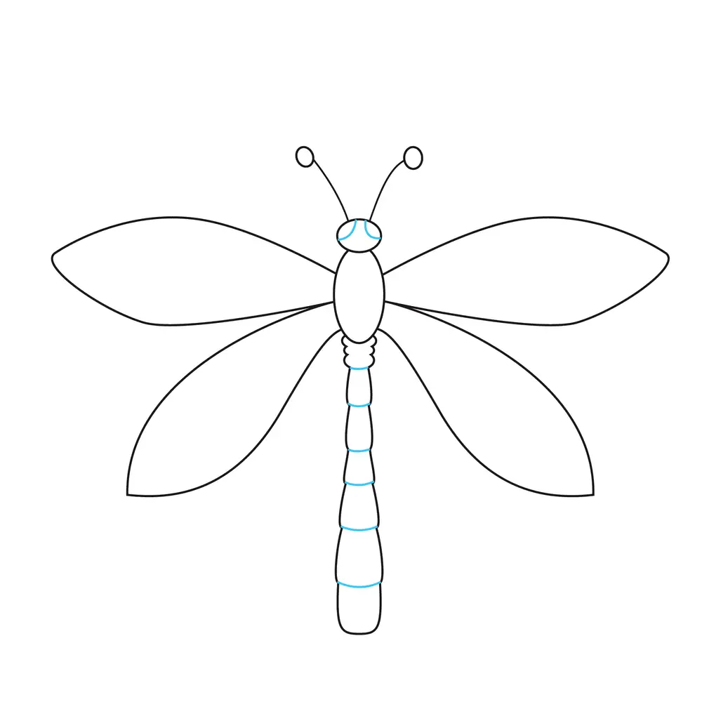 How to Draw A Dragonfly Step by Step Step  7