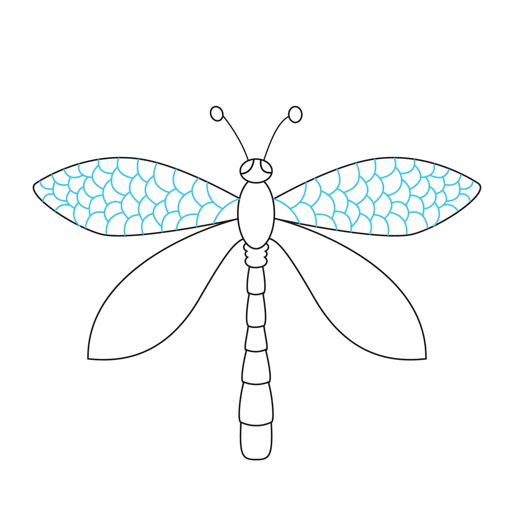 How to Draw A Dragonfly Step by Step Step  8