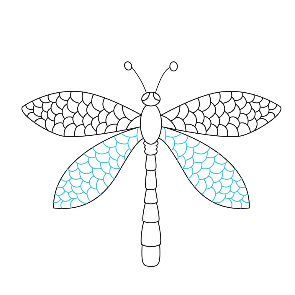 How to Draw A Dragonfly Step by Step Step  9