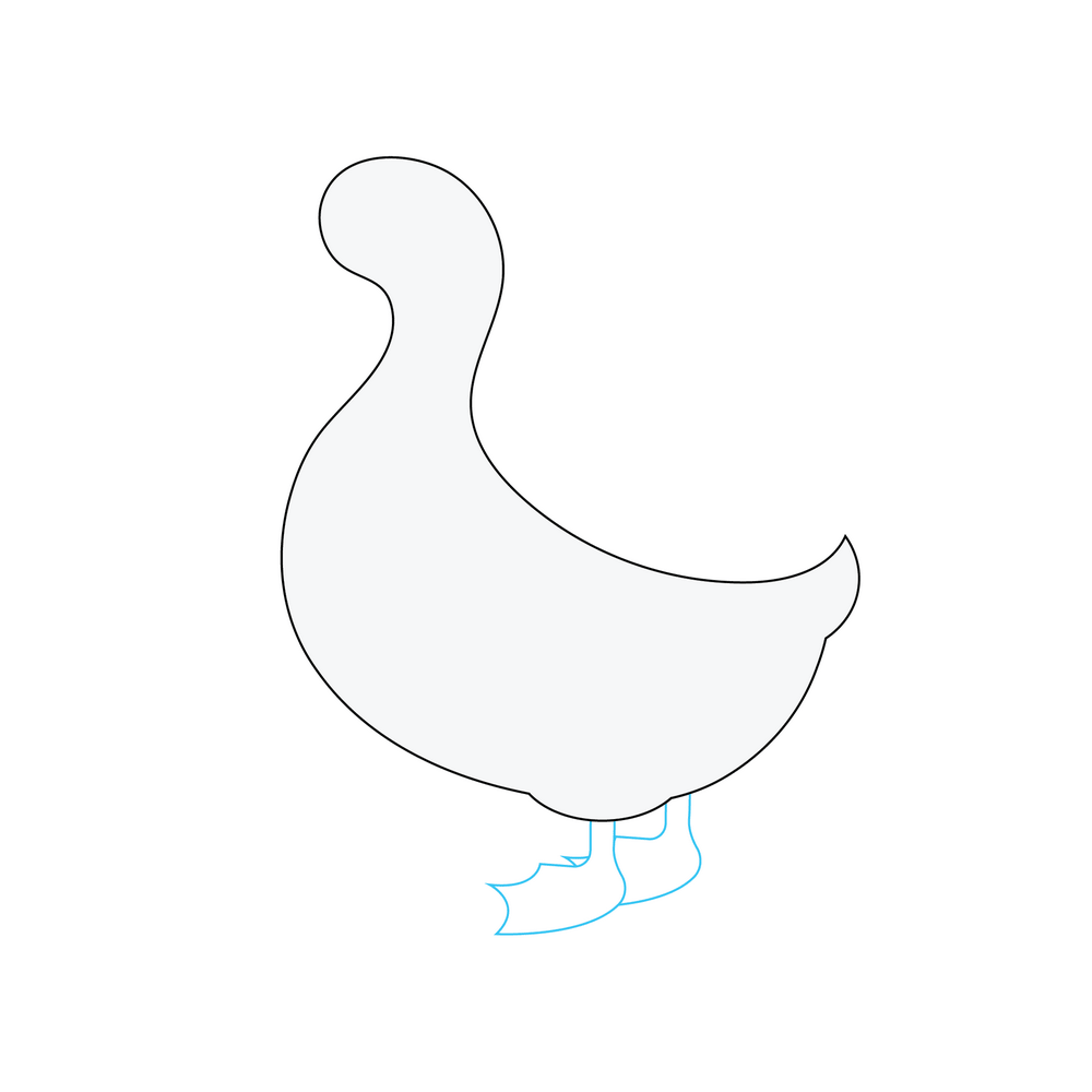 How to Draw A Duck Step by Step Step  3