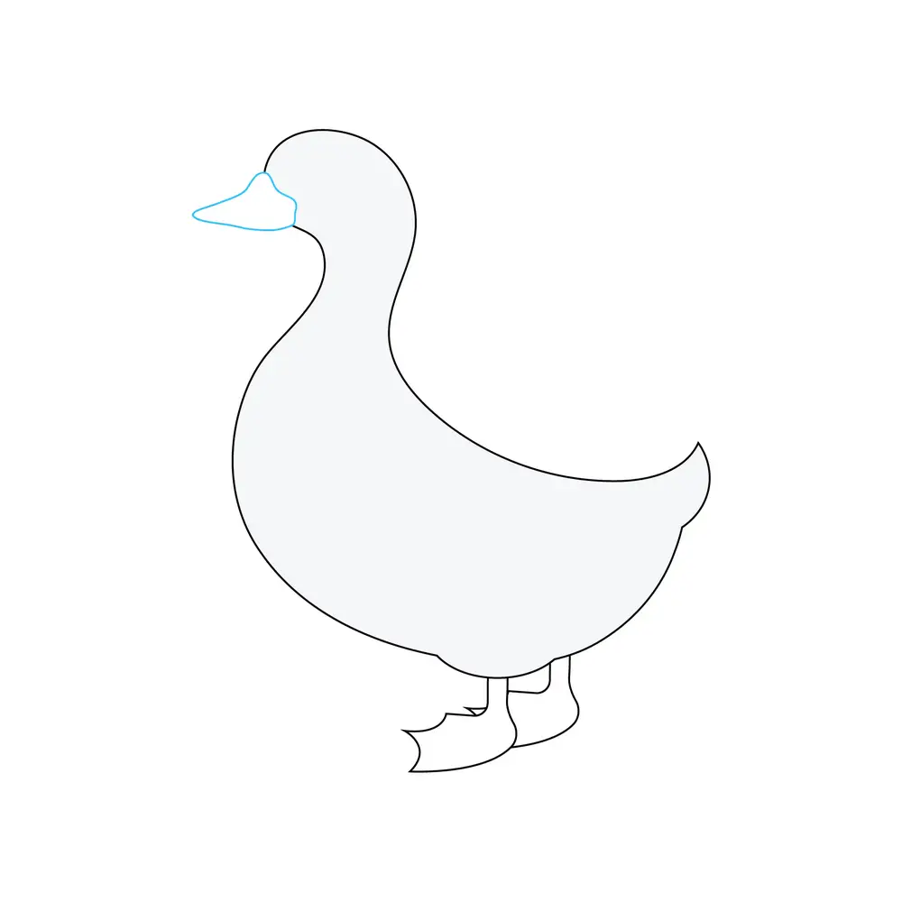 How to Draw A Duck Step by Step Step  4