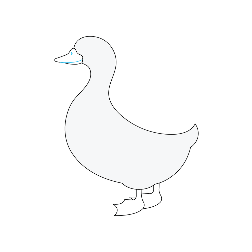 How to Draw A Duck Step by Step Step  5