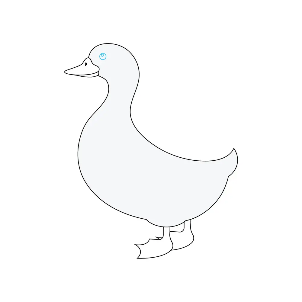 How to Draw A Duck Step by Step Step  6