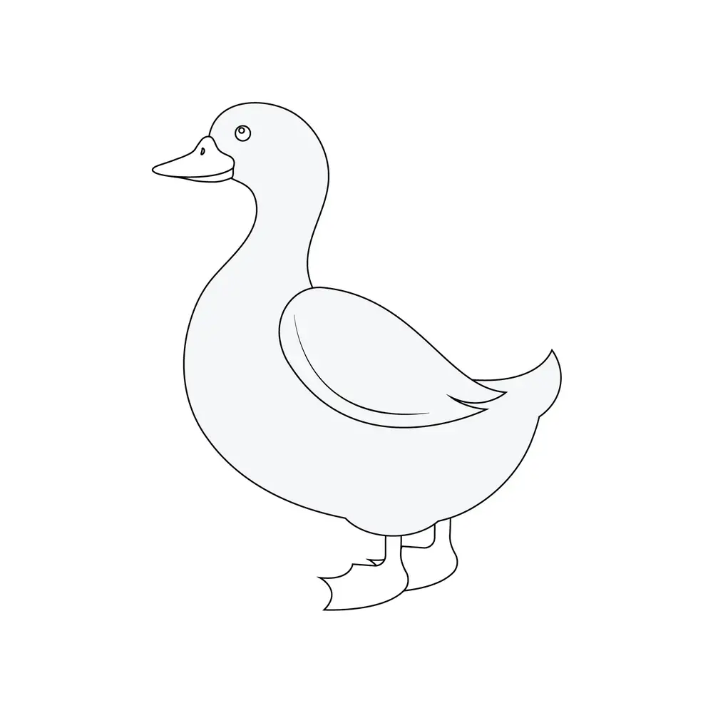 How to Draw A Duck Step by Step Step  8