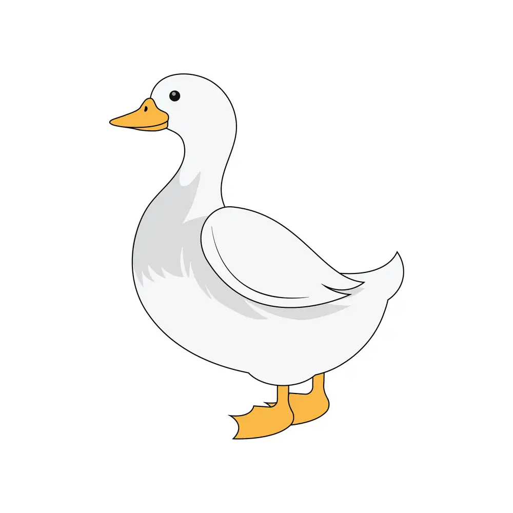 How to Draw A Duck Step by Step Step  9