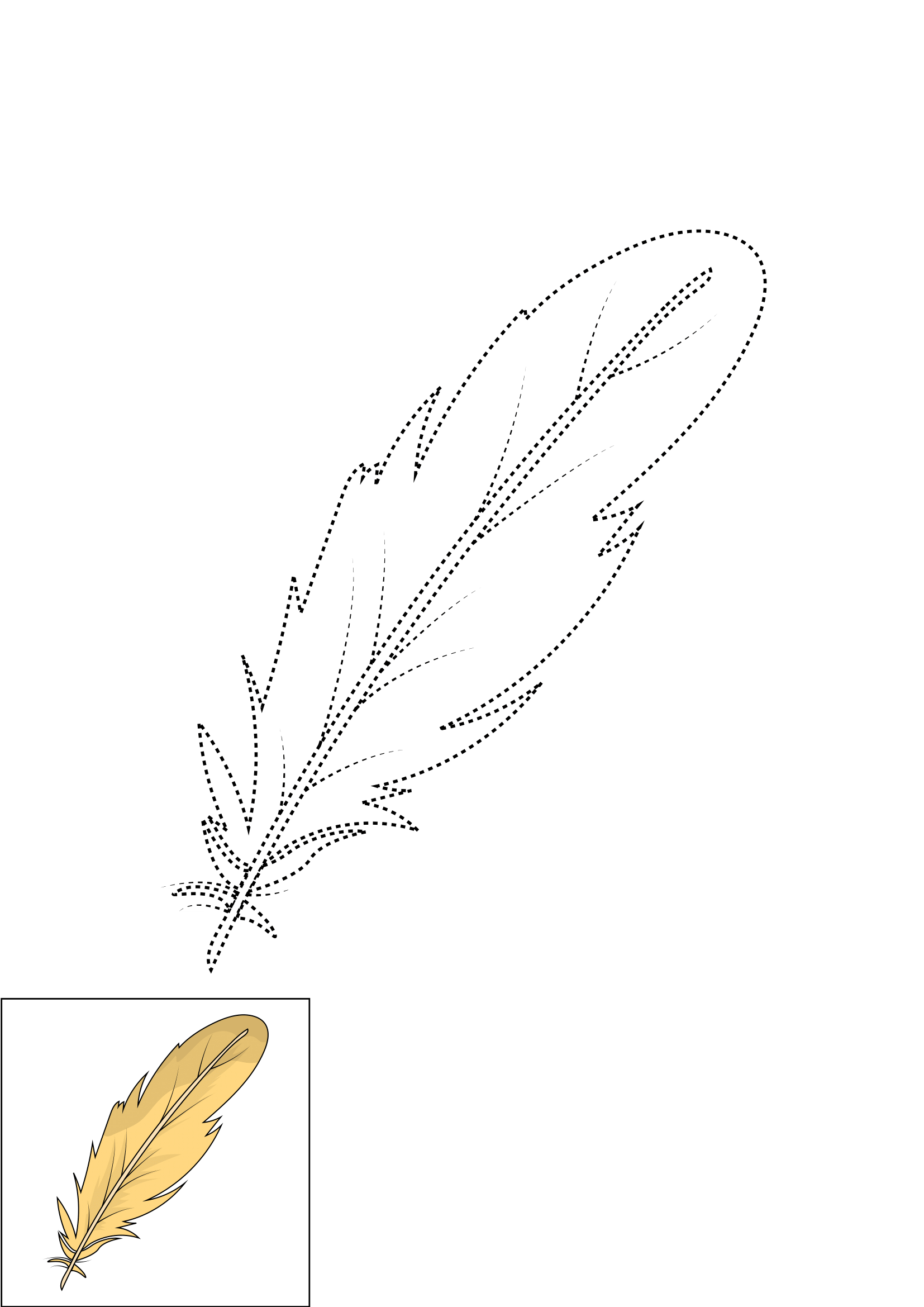 How to Draw A Feather Step by Step