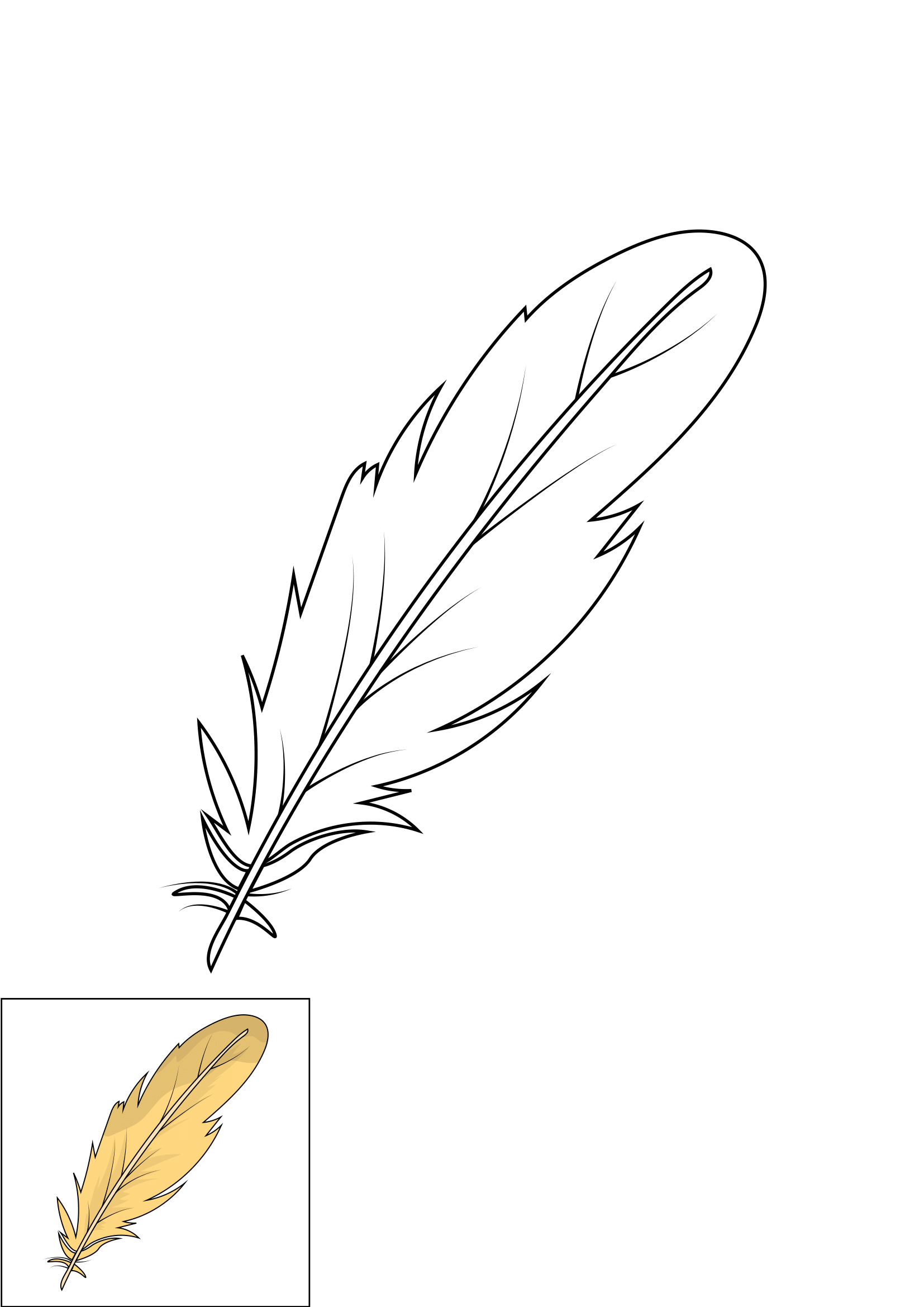 How to Draw A Feather Step by Step Printable Color