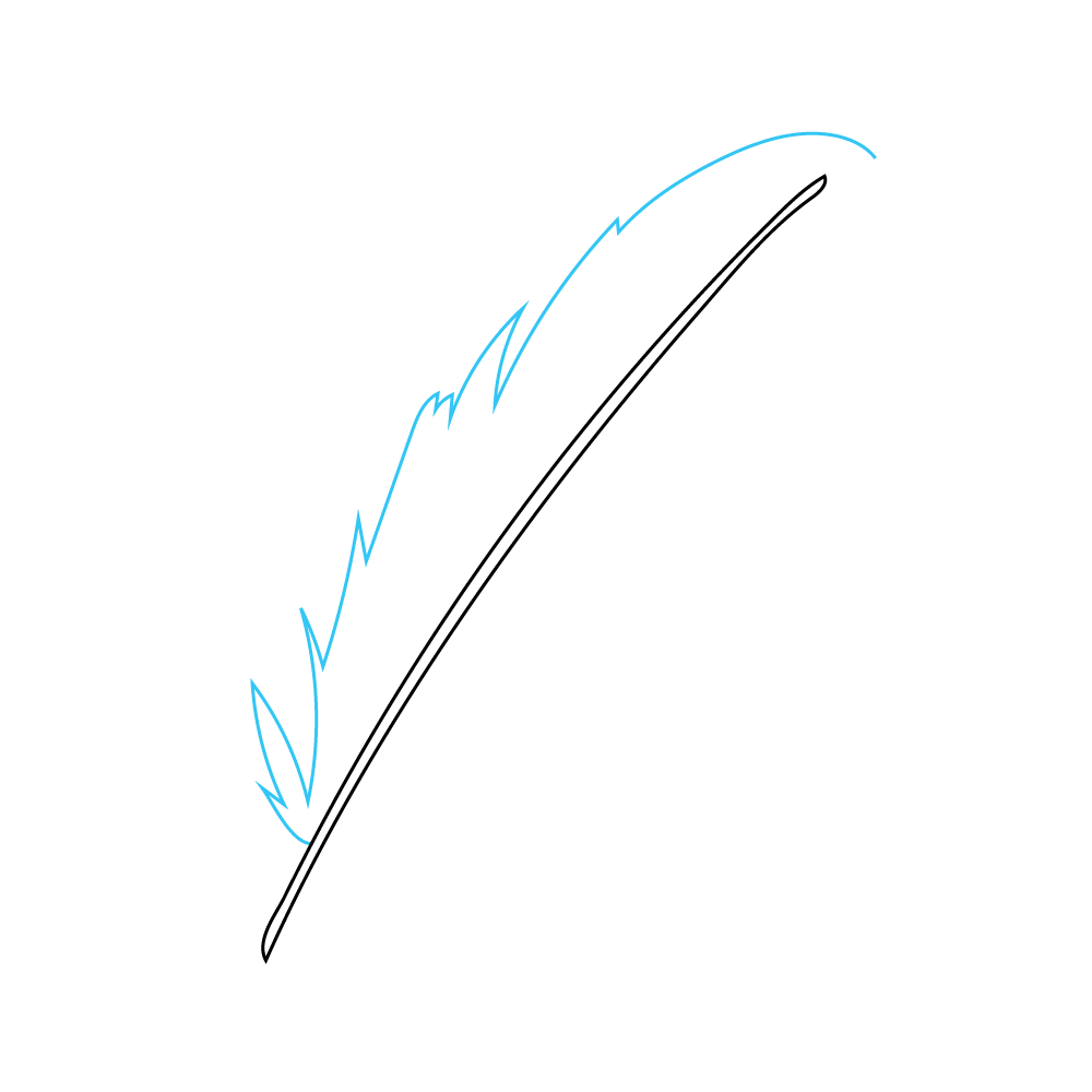How to Draw A Feather Step by Step Step  3