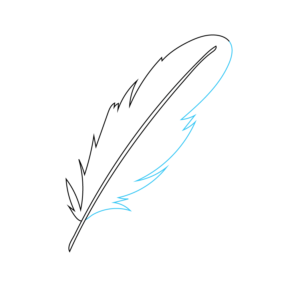 How to Draw A Feather Step by Step Step  4