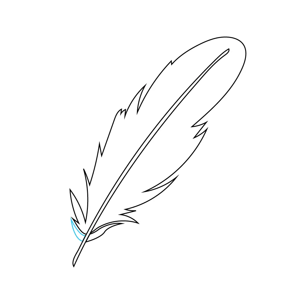 How to Draw A Feather Step by Step Step  6