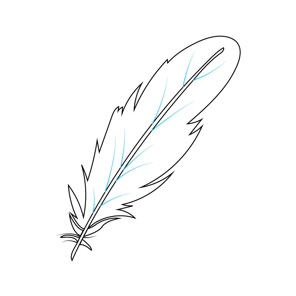 How to Draw A Feather Step by Step Step  8