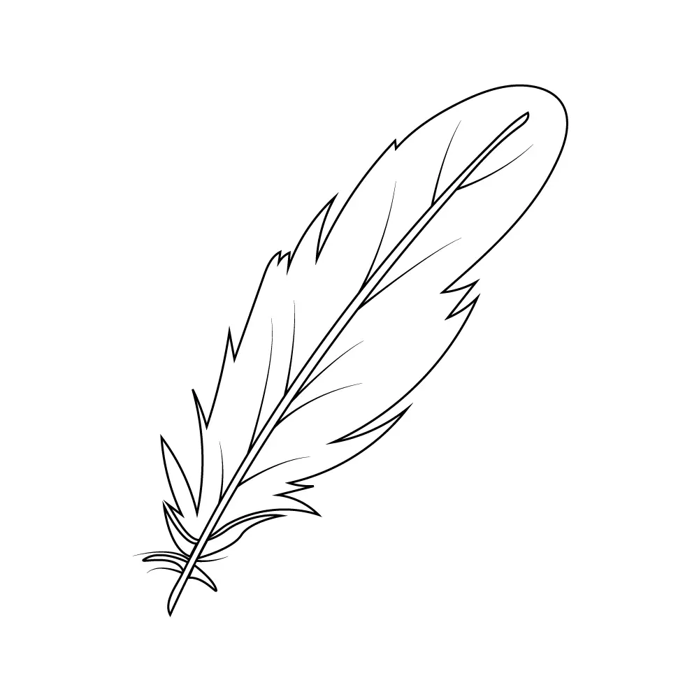 How to Draw A Feather Step by Step Step  9