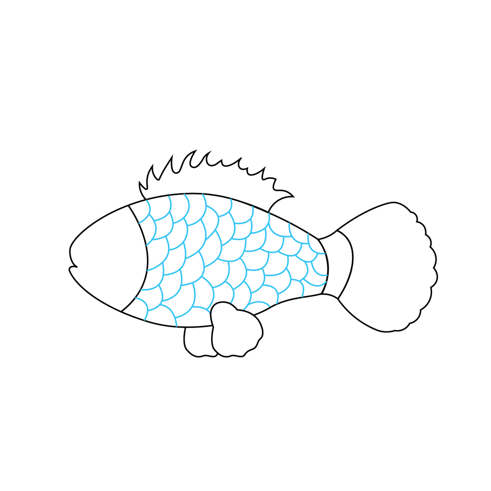 How to Draw A Fish Step by Step Step  6