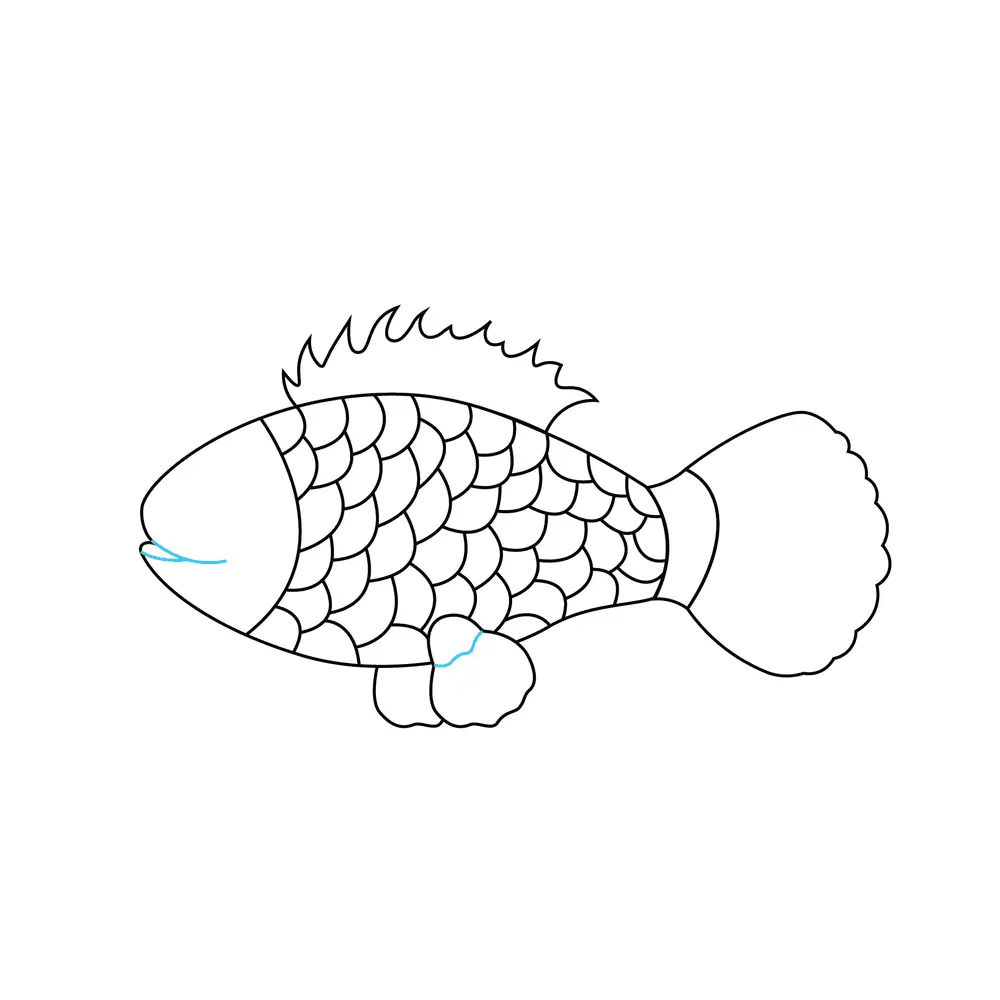 How to Draw A Fish Step by Step Step  7