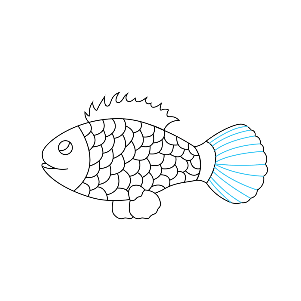 How to Draw A Fish Step by Step Step  9