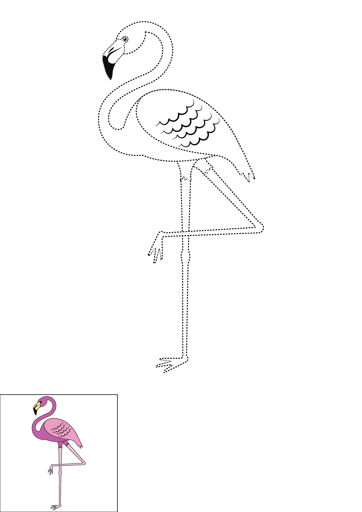 How to Draw A Flamingo Step by Step Printable Dotted