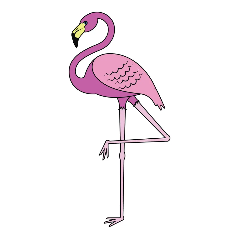 How to Draw A Flamingo Step by Step Step  10