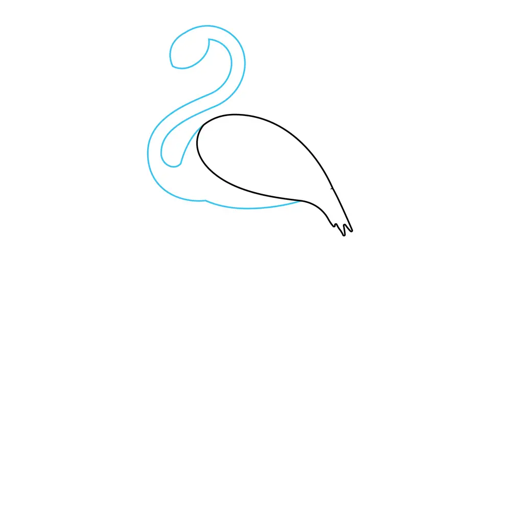 How to Draw A Flamingo Step by Step Step  2