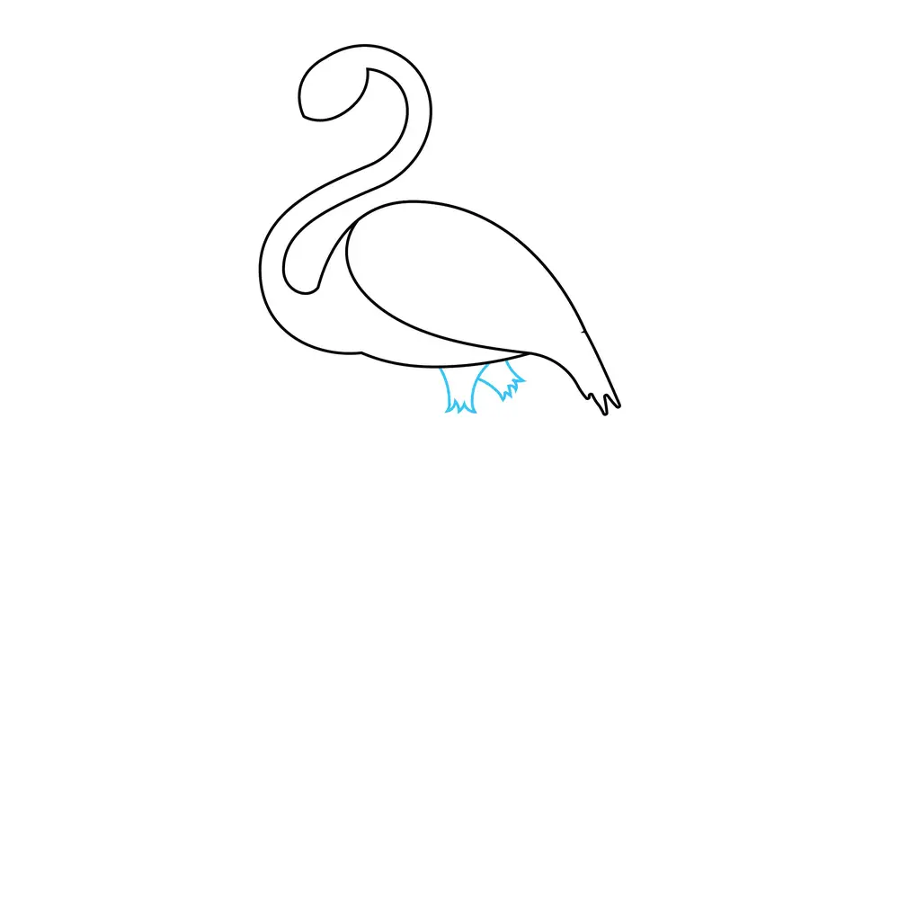 How to Draw A Flamingo Step by Step Step  3