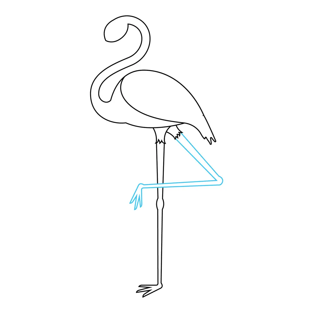 How to Draw A Flamingo Step by Step Step  5