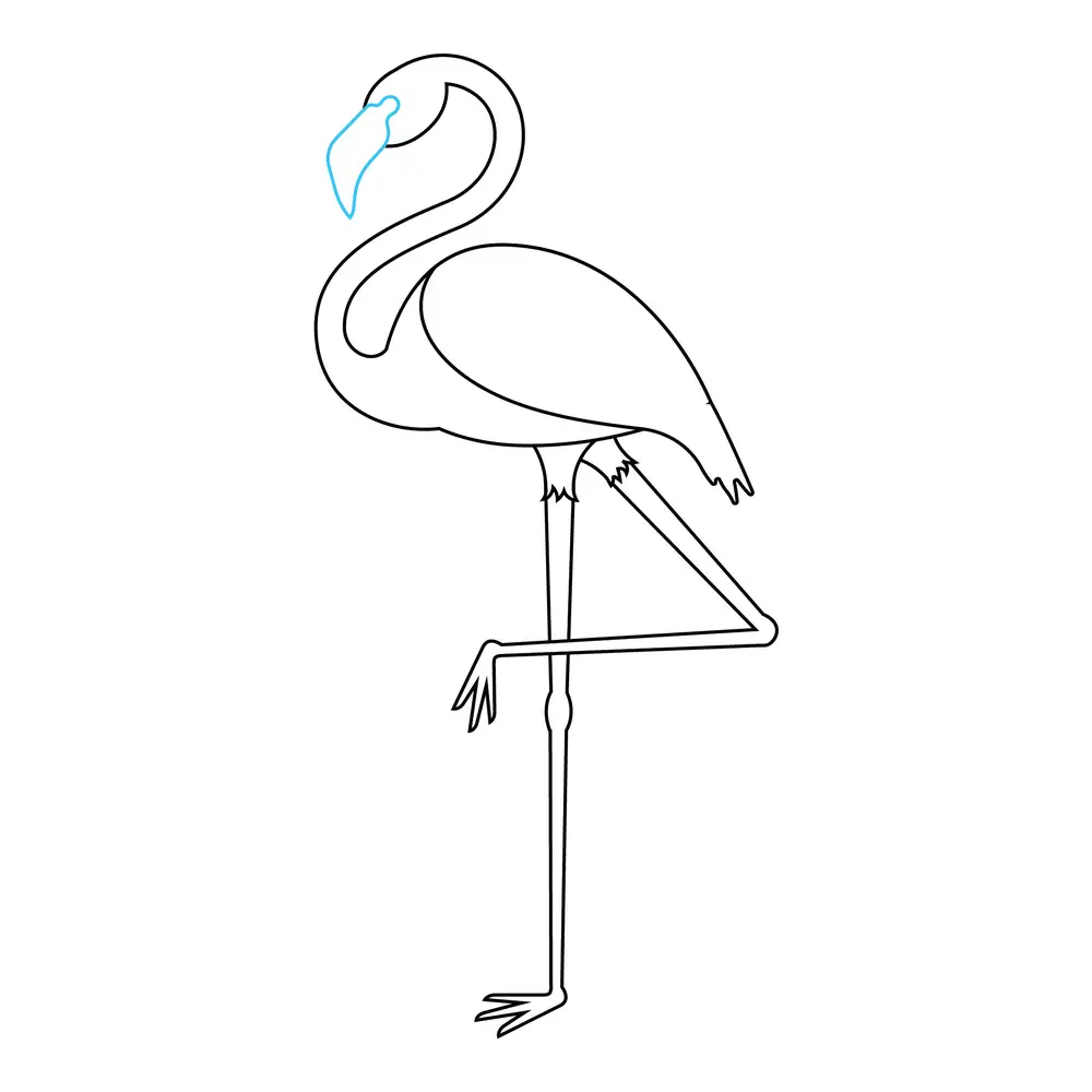 How to Draw A Flamingo Step by Step Step  6