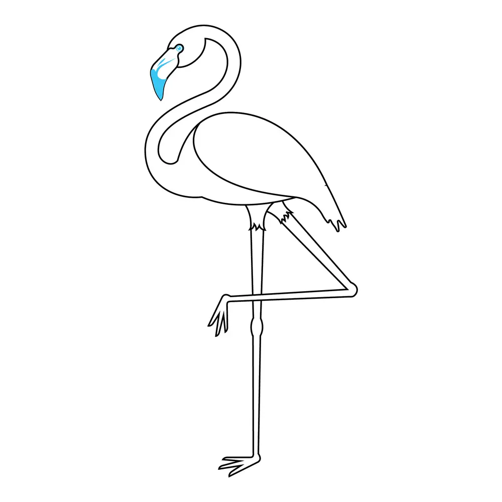 How to Draw A Flamingo Step by Step Step  7