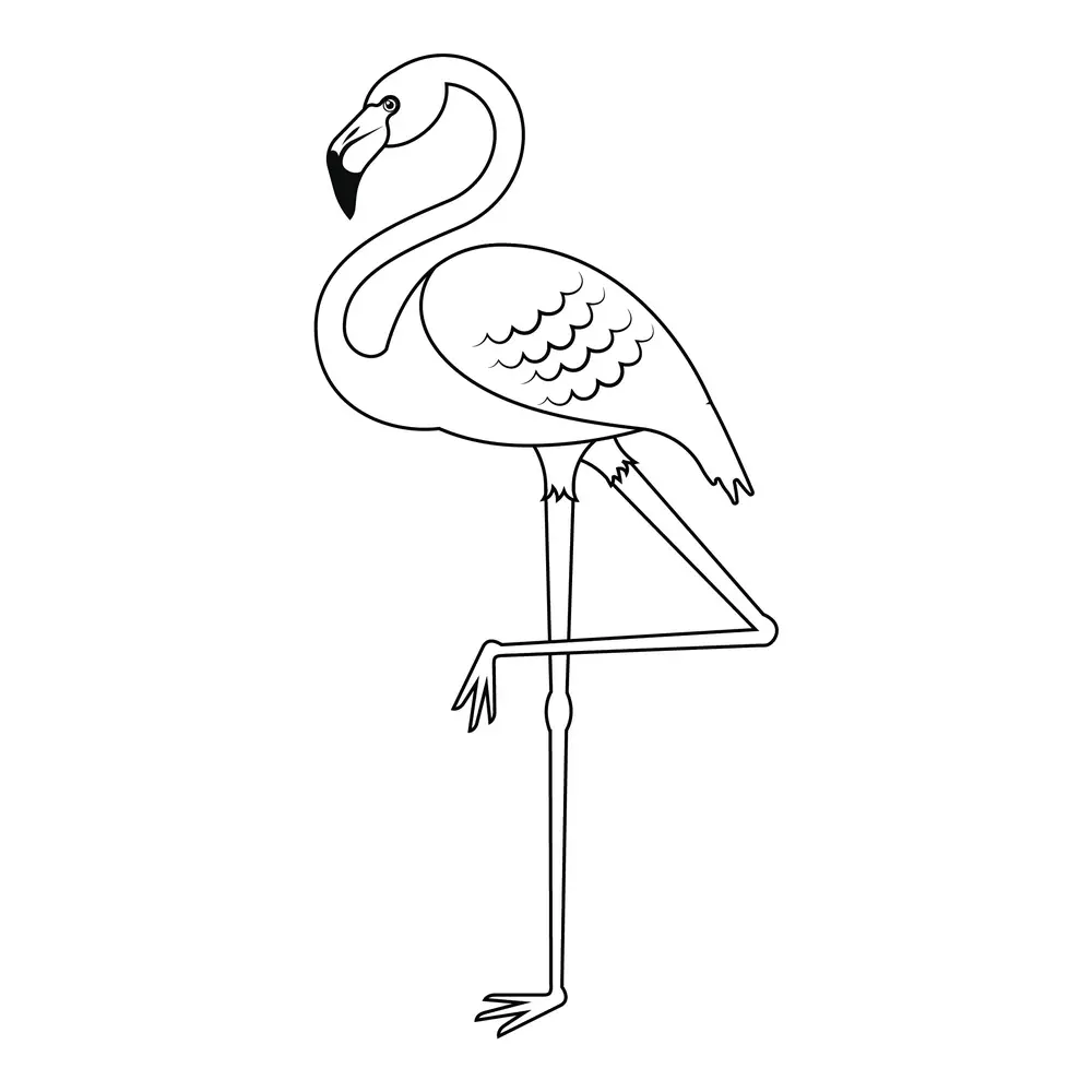 How to Draw A Flamingo Step by Step Step  9