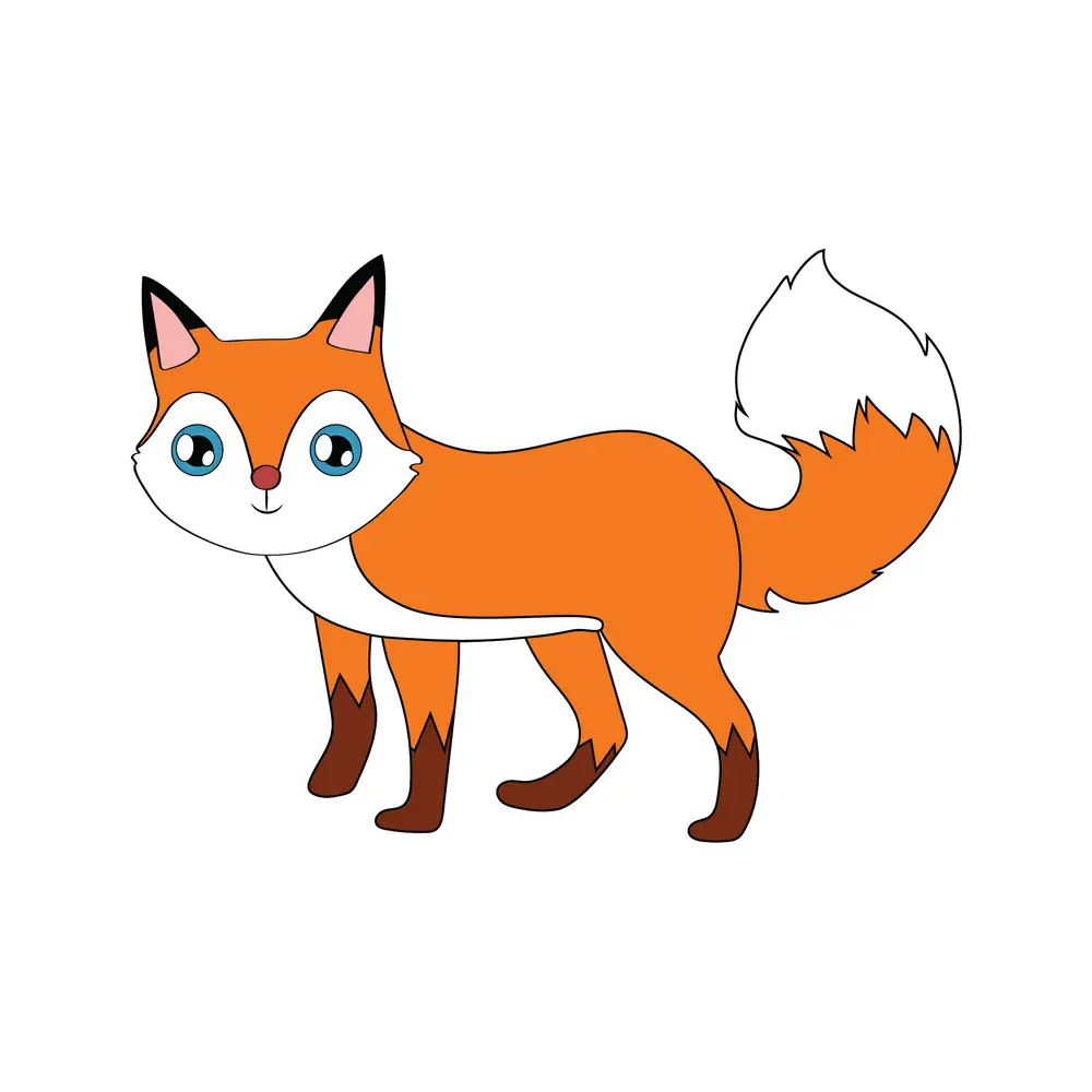 How to Draw A Fox Step by Step Step  8