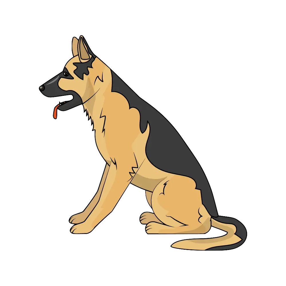 How To Draw A German Shepherd Step By Step